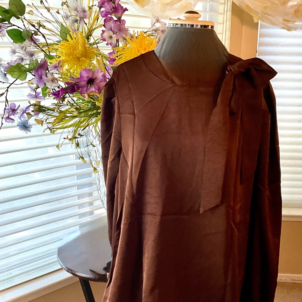 Brown Tie-Neck Blouse
